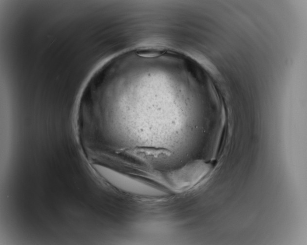 X0000093211248200710101320