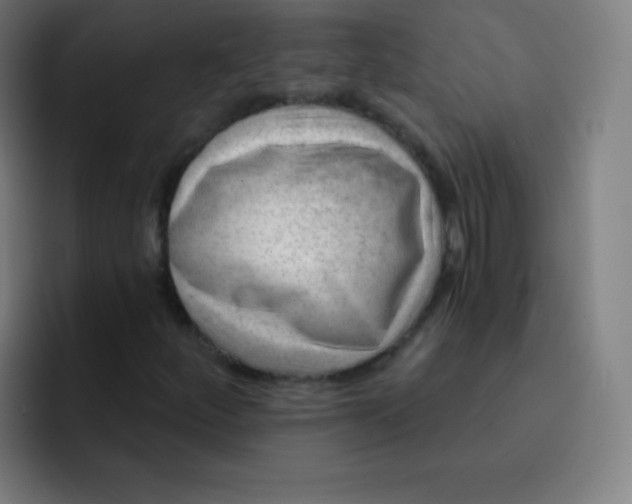 X0000093211252200710101320