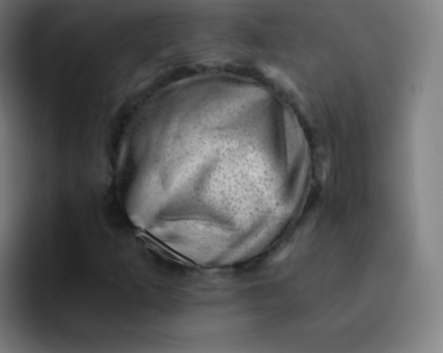 X0000093211253200710101320