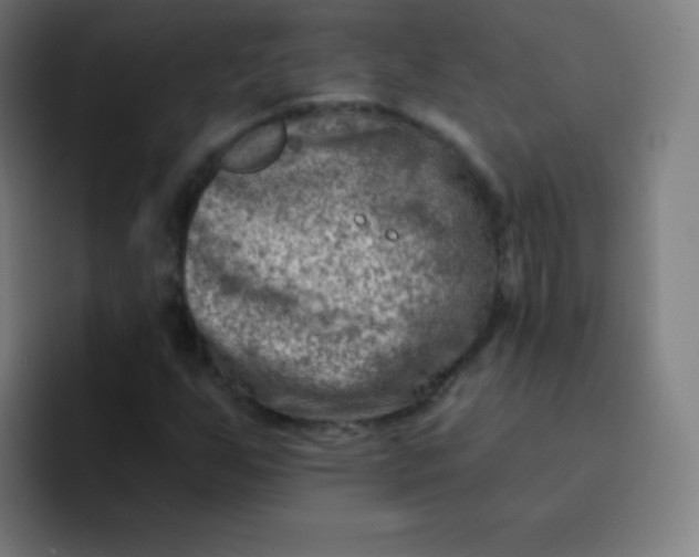 X0000093211255200710101320