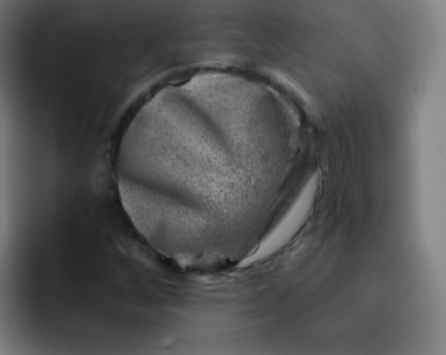 X0000093211256200710101320