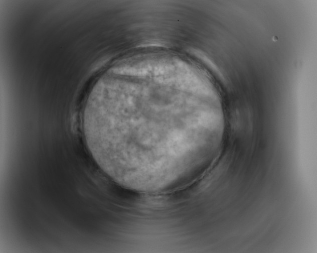 X0000093211258200710101320