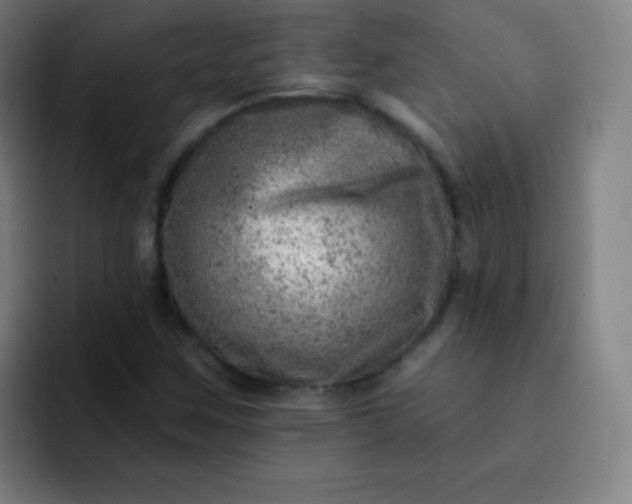 X0000093211259200710101320