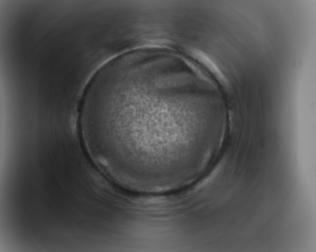 X0000093211260200710101320