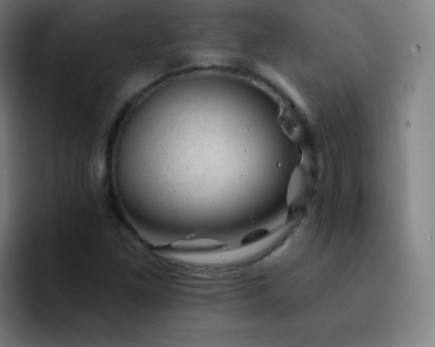 X0000093211261200710101320