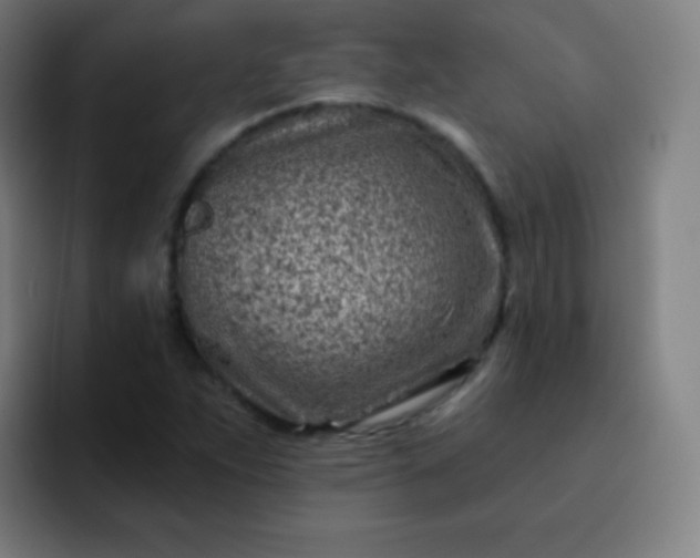 X0000093211263200710101320