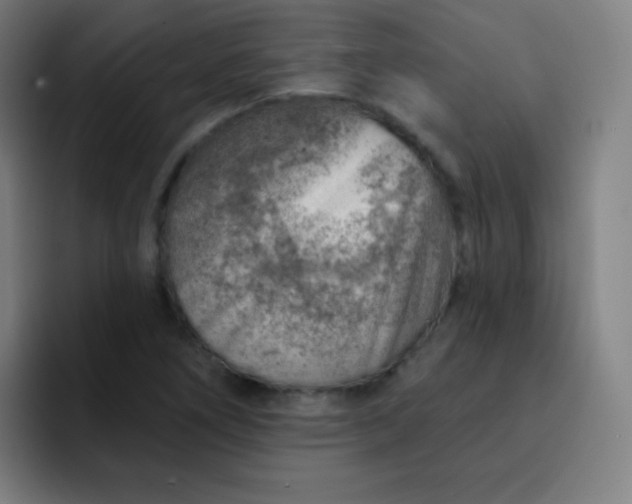 X0000093211266200710101320