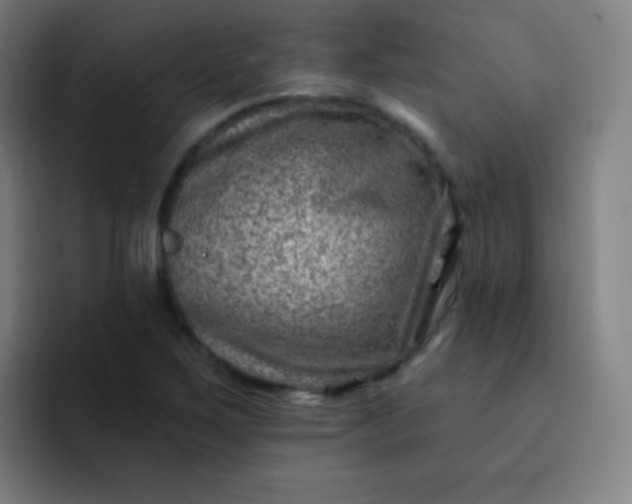 X0000093211267200710101320