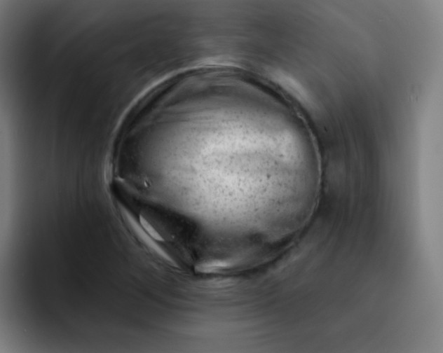 X0000093211268200710101320