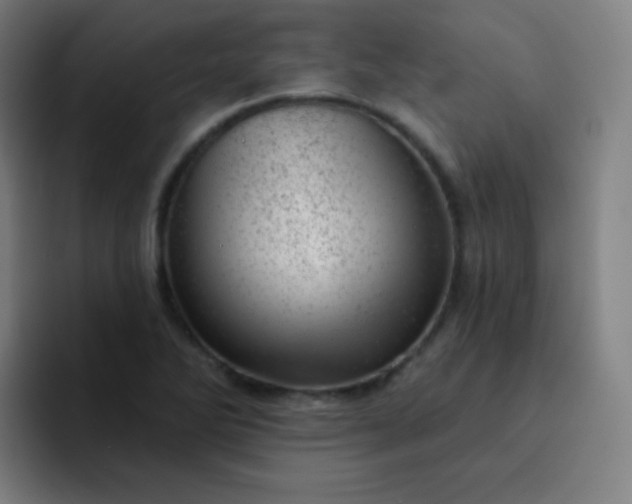 X0000093211270200710101320