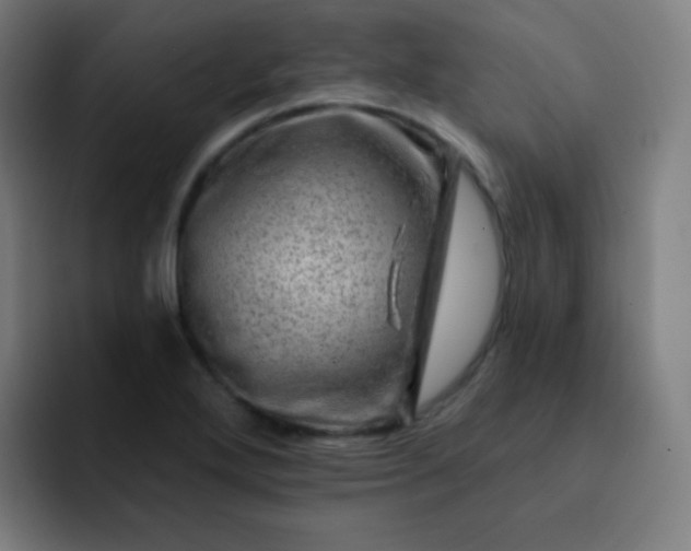 X0000093211272200710101320