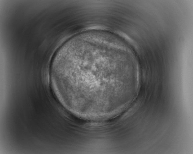 X0000093211274200710101320