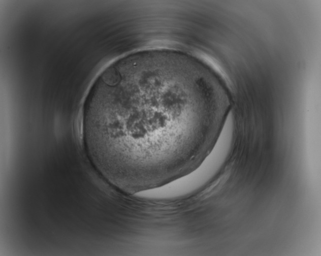 X0000093211275200710101320