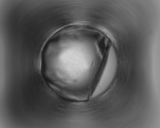 X0000093211276200710101320