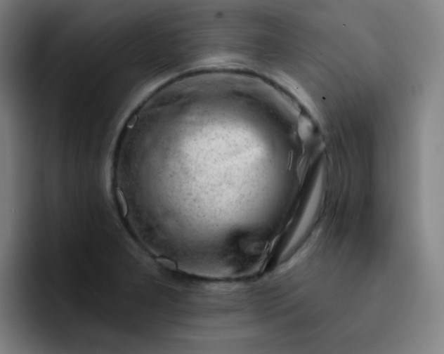 X0000093211277200710101320