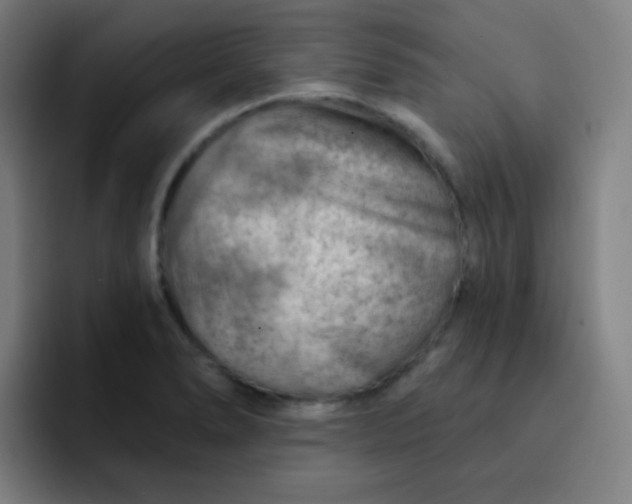 X0000093211278200710101320