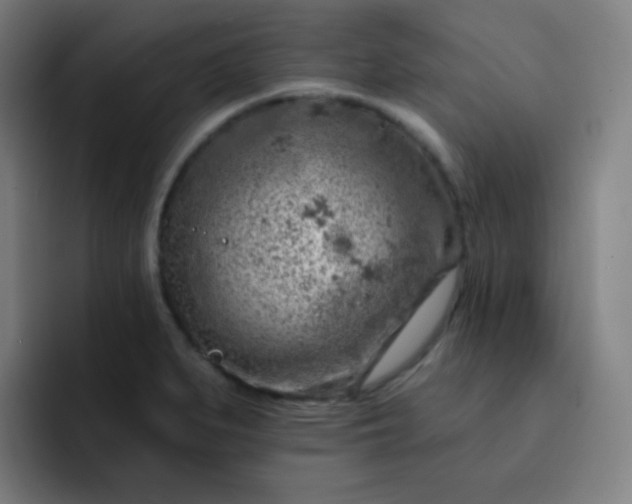 X0000093211279200710101320