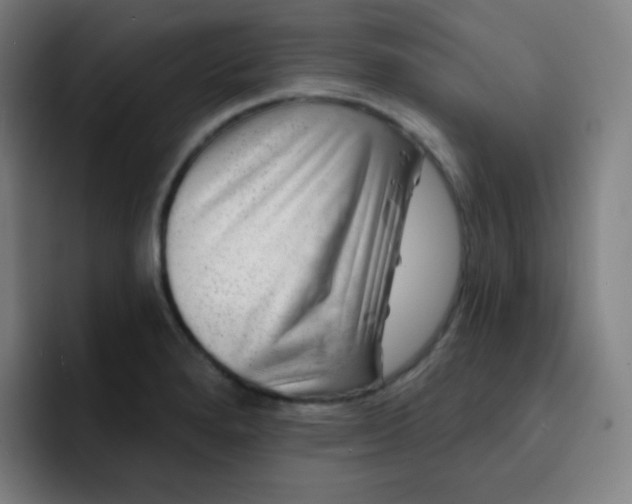 X0000093211280200710101319