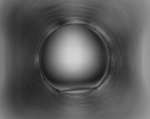 X0000093211281200710101319