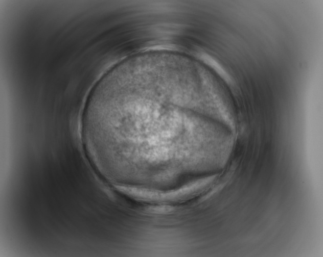 X0000093211282200710101319