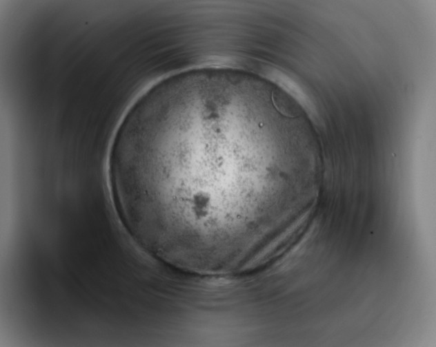 X0000093211283200710101319