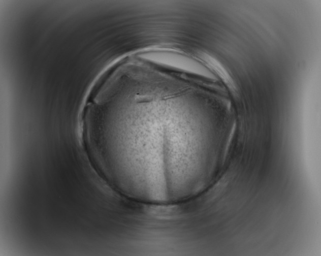 X0000093211284200710101319