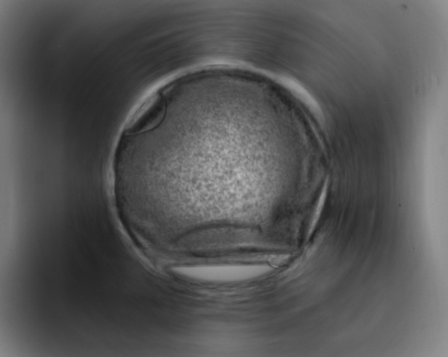 X0000093211287200710101319