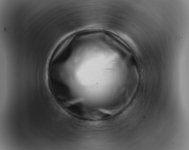 X0000093211288200710101319