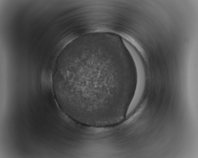 X0000093211289200710101319