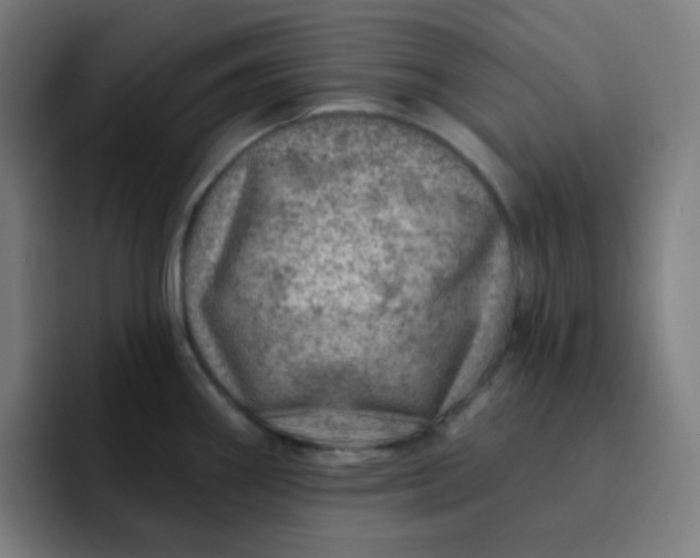 X0000093211290200710101319