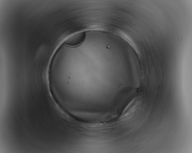 X0000093211291200710101319