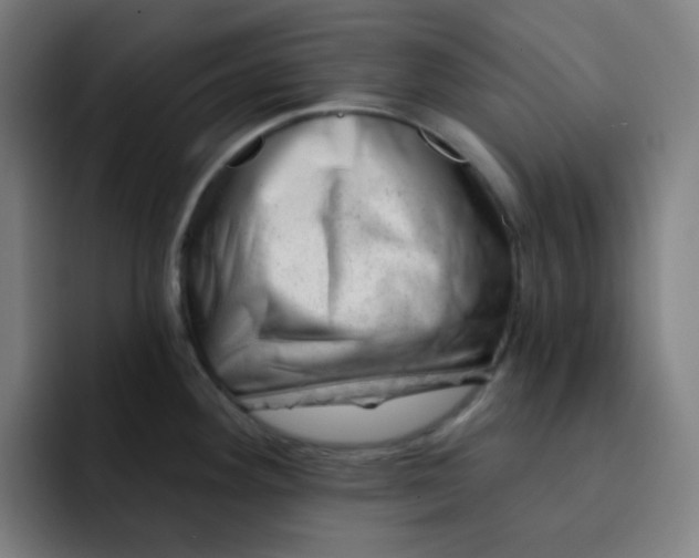 X0000093211292200710101319