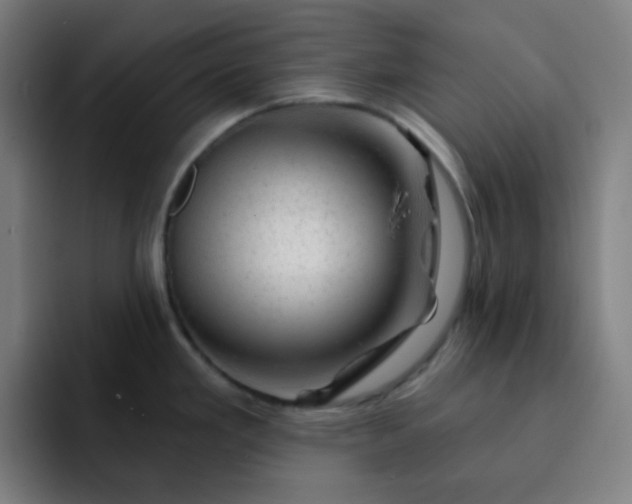 X0000093211293200710101319