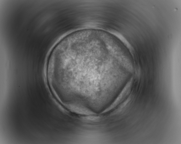 X0000093211294200710101319