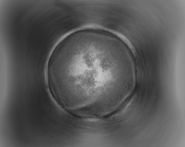 X0000093211295200710101319