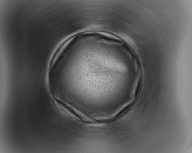 X0000093211296200710101319