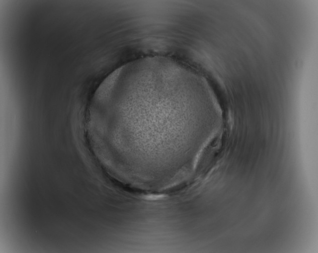 X0000093211297200710101319