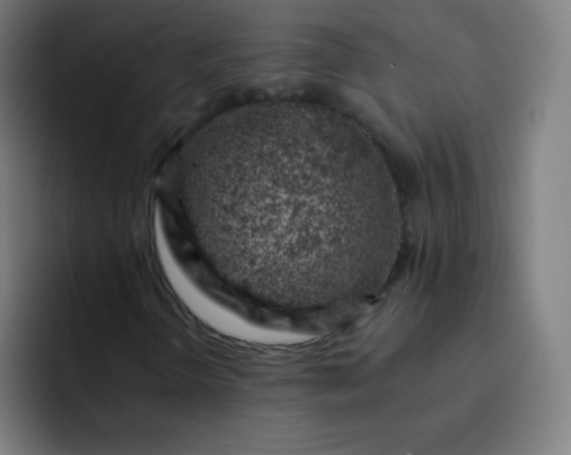 X0000093211298200710101319