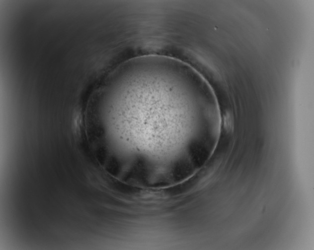 X0000093211299200710101319