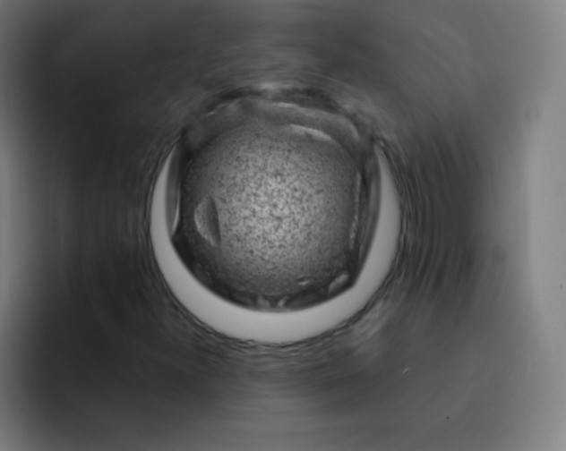 X0000093211300200710101319