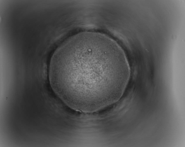 X0000093211301200710101319