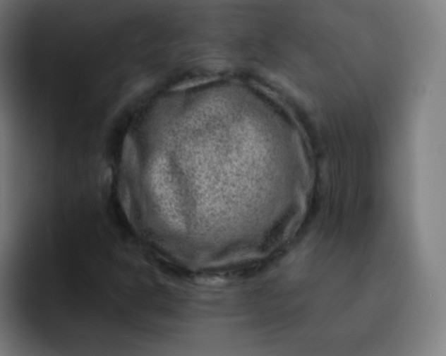 X0000093211302200710101319