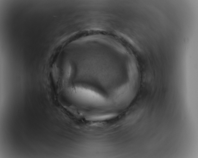 X0000093211303200710101319