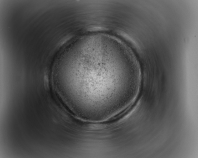 X0000093211305200710101319