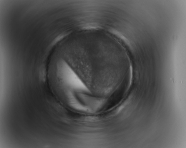 X0000093211306200710101319