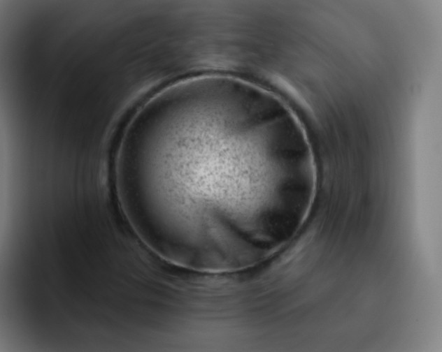 X0000093211307200710101319