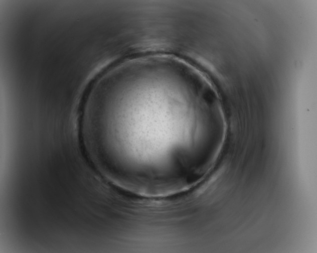 X0000093211309200710101319