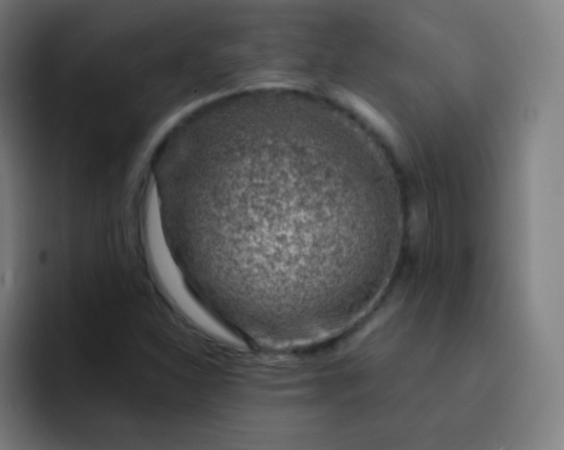 X0000093211310200710101319