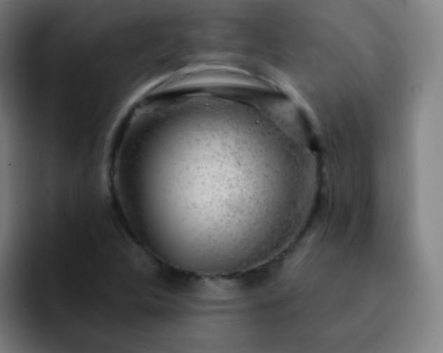 X0000093211312200710101319