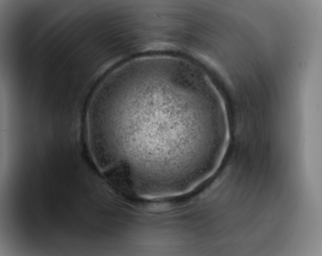 X0000093211313200710101319